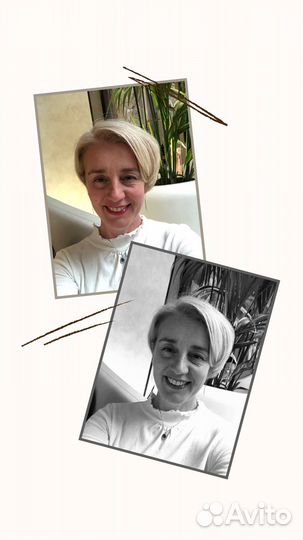 Создание сайтов на тильде