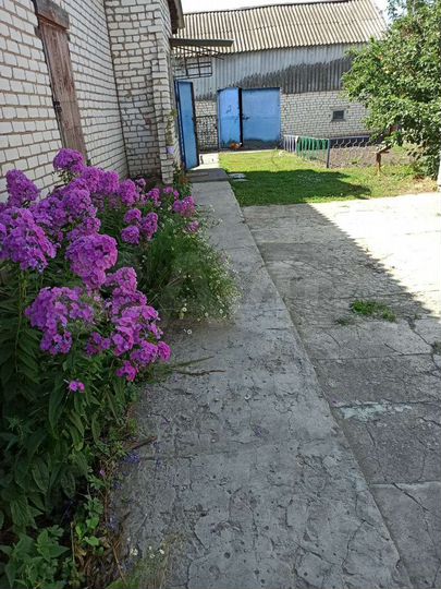 Дом 83,5 м² на участке 24 сот.