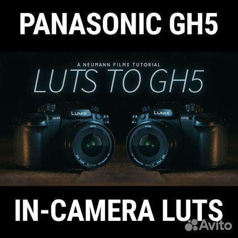 Vlog DMW-sfu1gu / GH4 G9 GH5