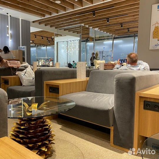 Проход в Бизнес-Зал (Иремель) в аэропорту