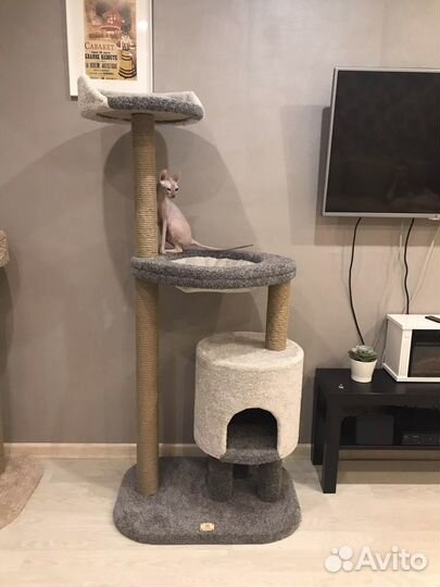 Игровой комплекс-когтеточка «Эльдорадо»