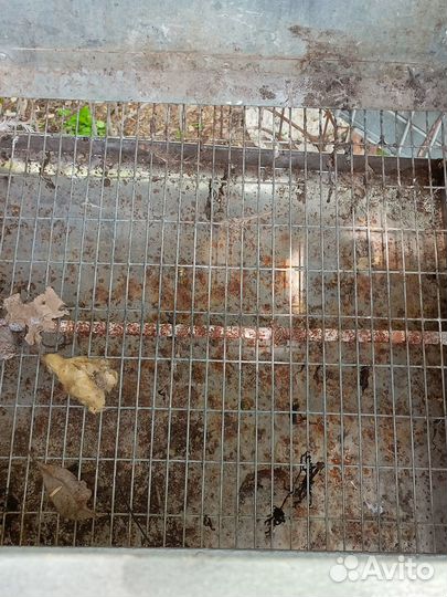 Клетка для перепелов несушек 