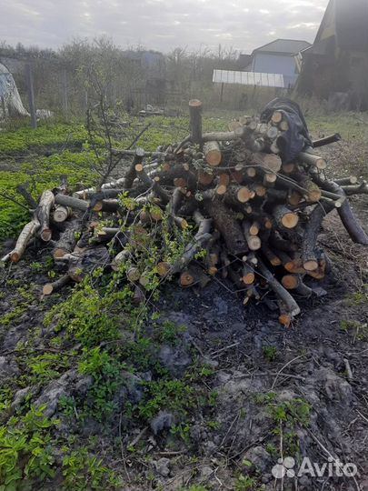 Вывоз строительного мусора с грузчиками