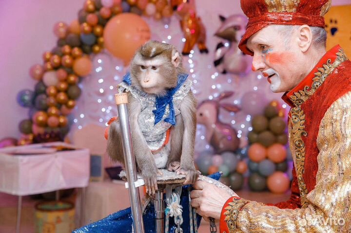 Шоу-программы на Свадьбы, Юбилеи