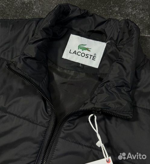 Мужская демисезонная куртка Lacoste 46-54