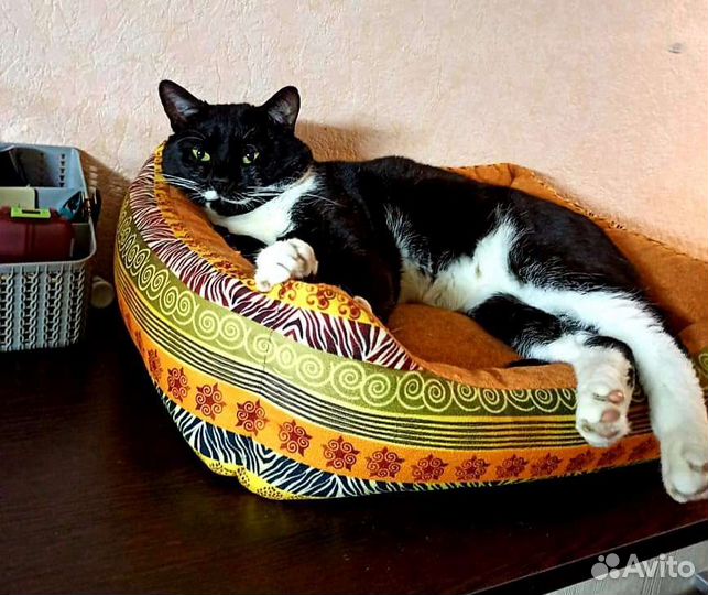 Молодая семейная пара возьмёт ипотеку