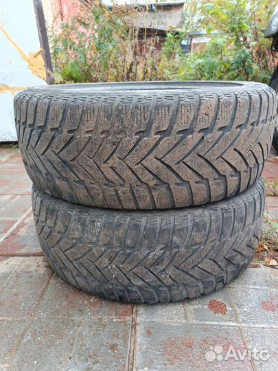 Dunlop Winter Maxx 205/50 R17