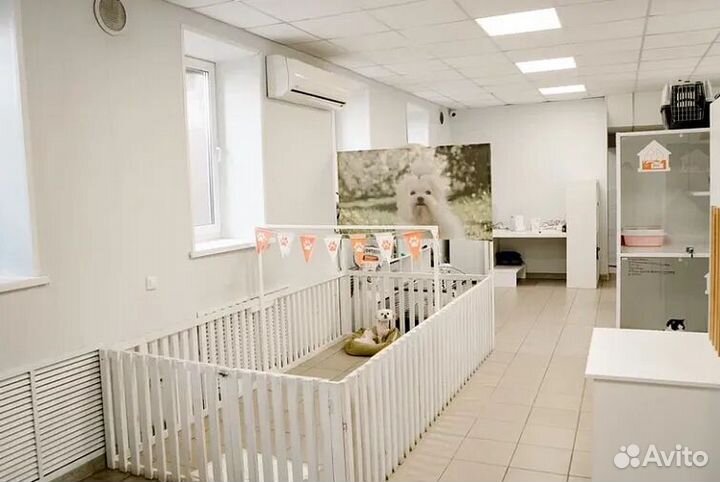 Готовый бизнес отель для животных