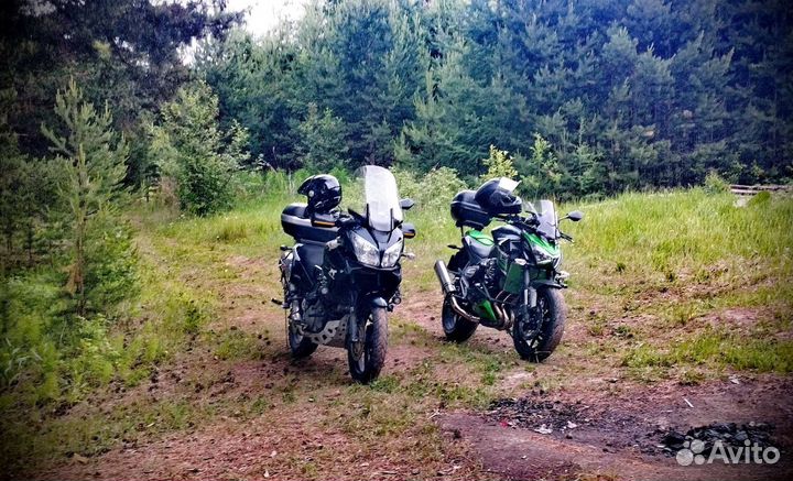 Продам хулигана