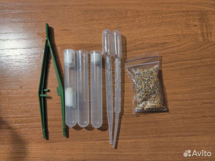 Муравьиная ферма (без муравьев)