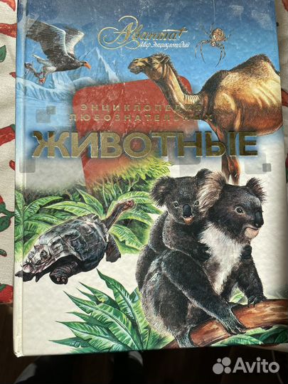 Детская энциклопедия животные