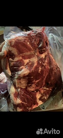 Тазобедренный отруб говядина мякоть