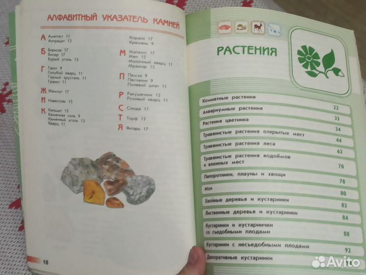 Атлас-определитель От земли до неба А.А. Плешков