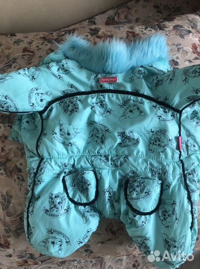 Костюм для собаки