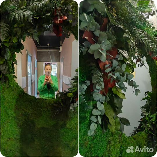 Панно. Картины. Стабилизированный мох. Арт189, от