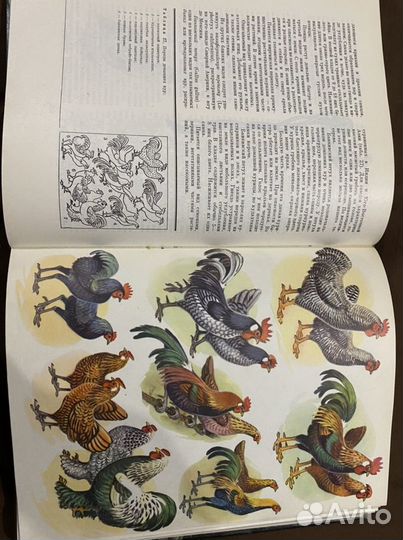 Книга энциклопедия Жизнь животных Птицы том 5