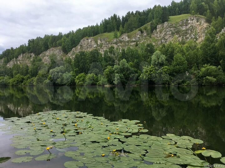 Участок 1,7 га (СНТ, ДНП)