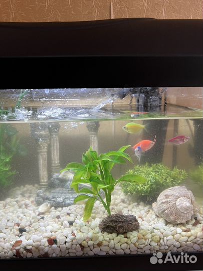 Украшения для аквариума