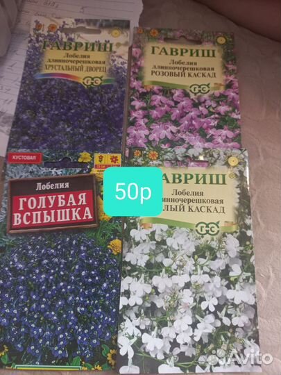 Лобелия