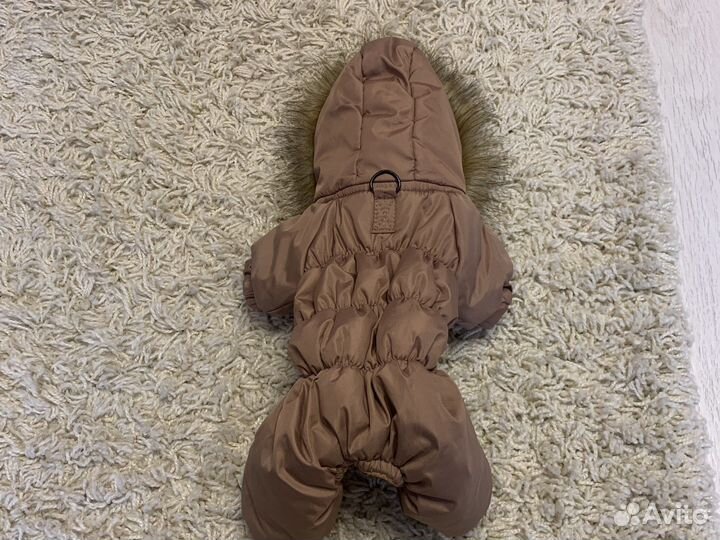 Костюм на маленькую собачку