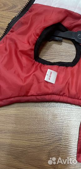 Одежда для собак