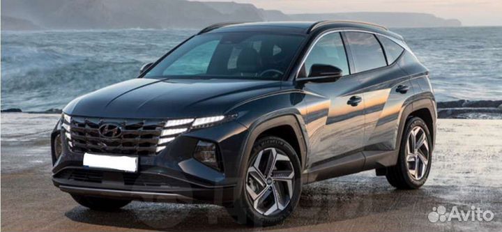 Такси-Трансфер:Крым-Краснодар,Сочи,Сев-ль,Свадьба