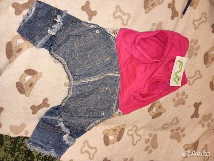 Вещи для собак, трусы, платья, шлейка, намордники