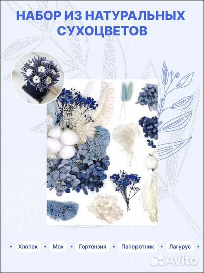Сухоцветы набор