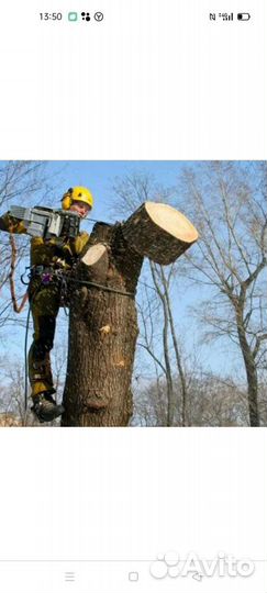 Снос демонтаж домов