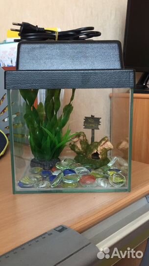 Аквариум