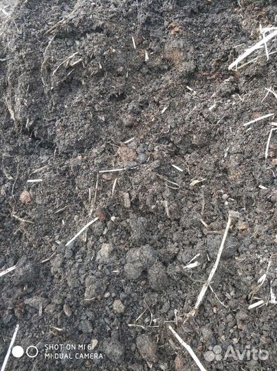 Навоз перегной конский и коровий торф чернозём