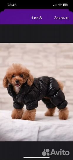 Комбинезон для маленькой собаки новый