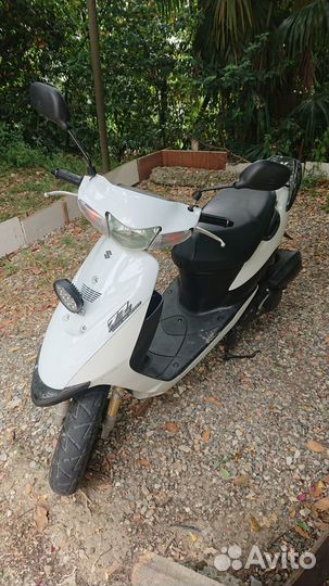 Suzuki zz inch up sport