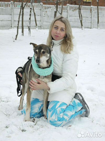 Пожилой Гек всю жизнь ждёт хозяина