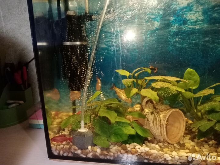 Аквариум с рыбками
