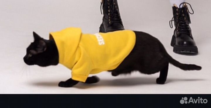 Одежда и проводка для питомца