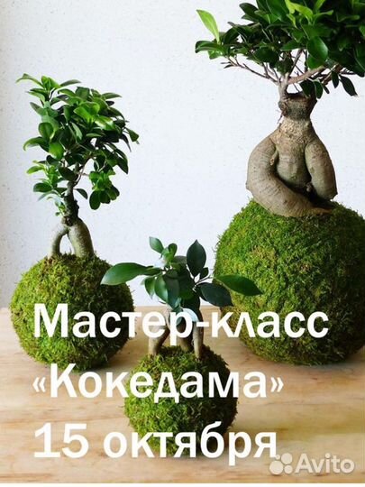 Мастер класс