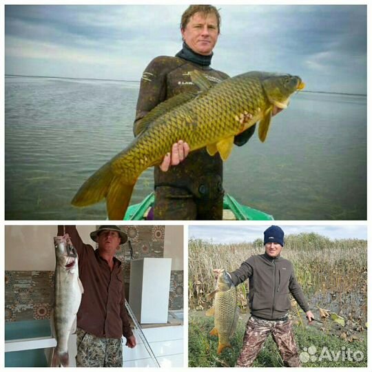 Рыбалка и подводная охота в Астрах-й обл. с. Вышка