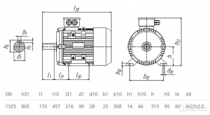 Электродвигатель 5аи 315 М8 (110кВт / 750об)