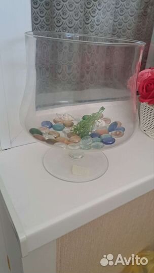 Аквариумные рыбки