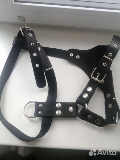 Шлейка для собаки