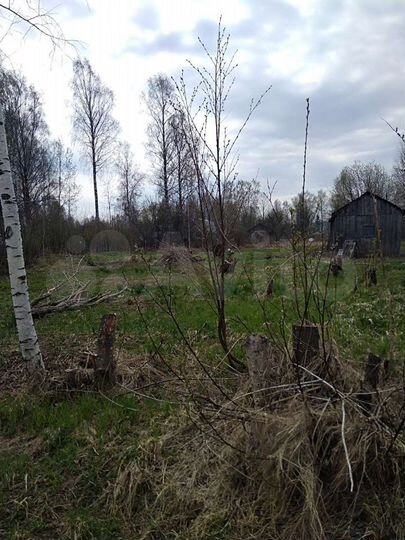 Участок 27 сот. (СНТ, ДНП)