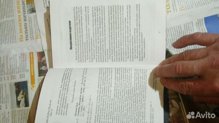 Скоморох. Наталья Даль. 1000 экз