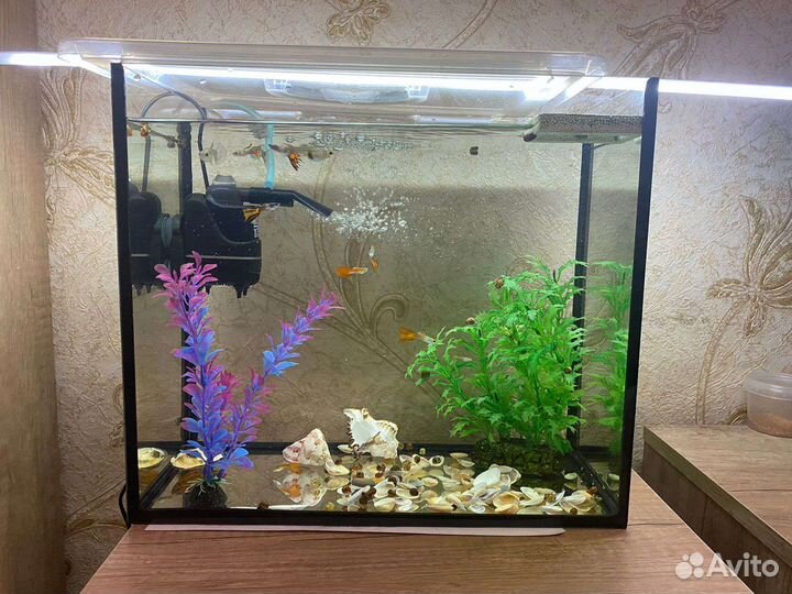 Аквариум 20л