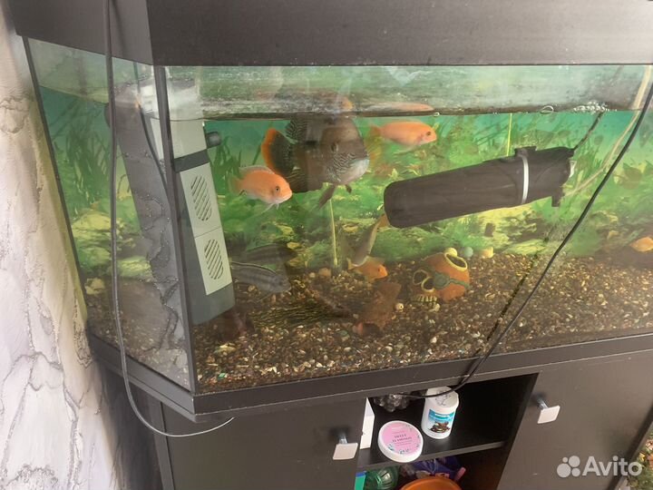 Аквариум с тумбой м с рыбками