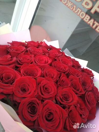 Розы Букеты Цветы Доставка