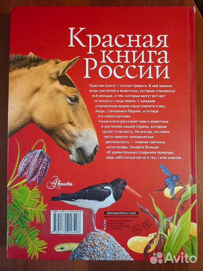 Пескова И. М. 