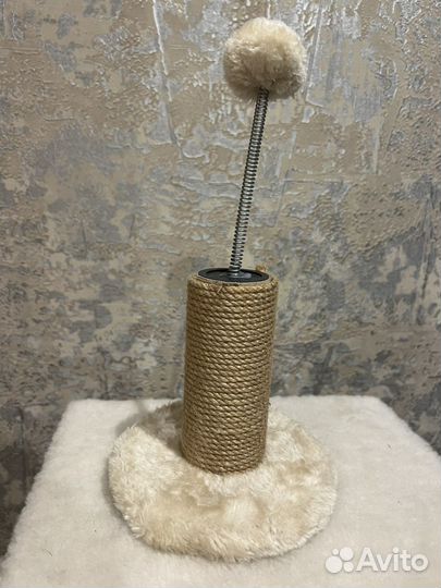 Когтеточка