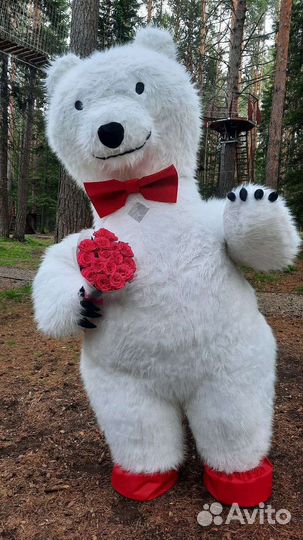 Поздравление Большого Белого Медведя Аниматор