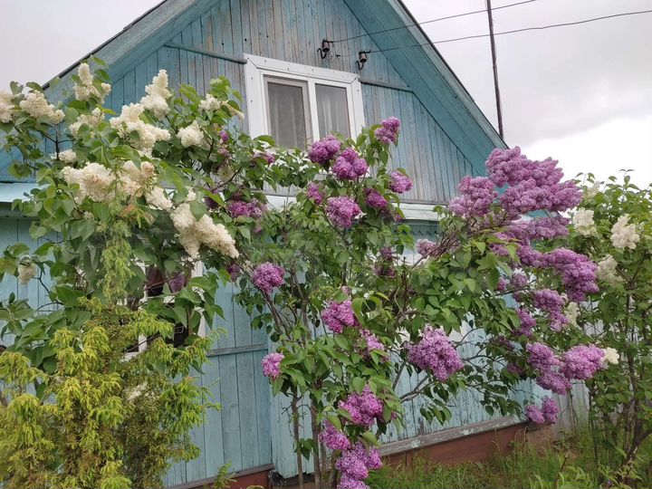 Дом 36 м² на участке 10 сот.